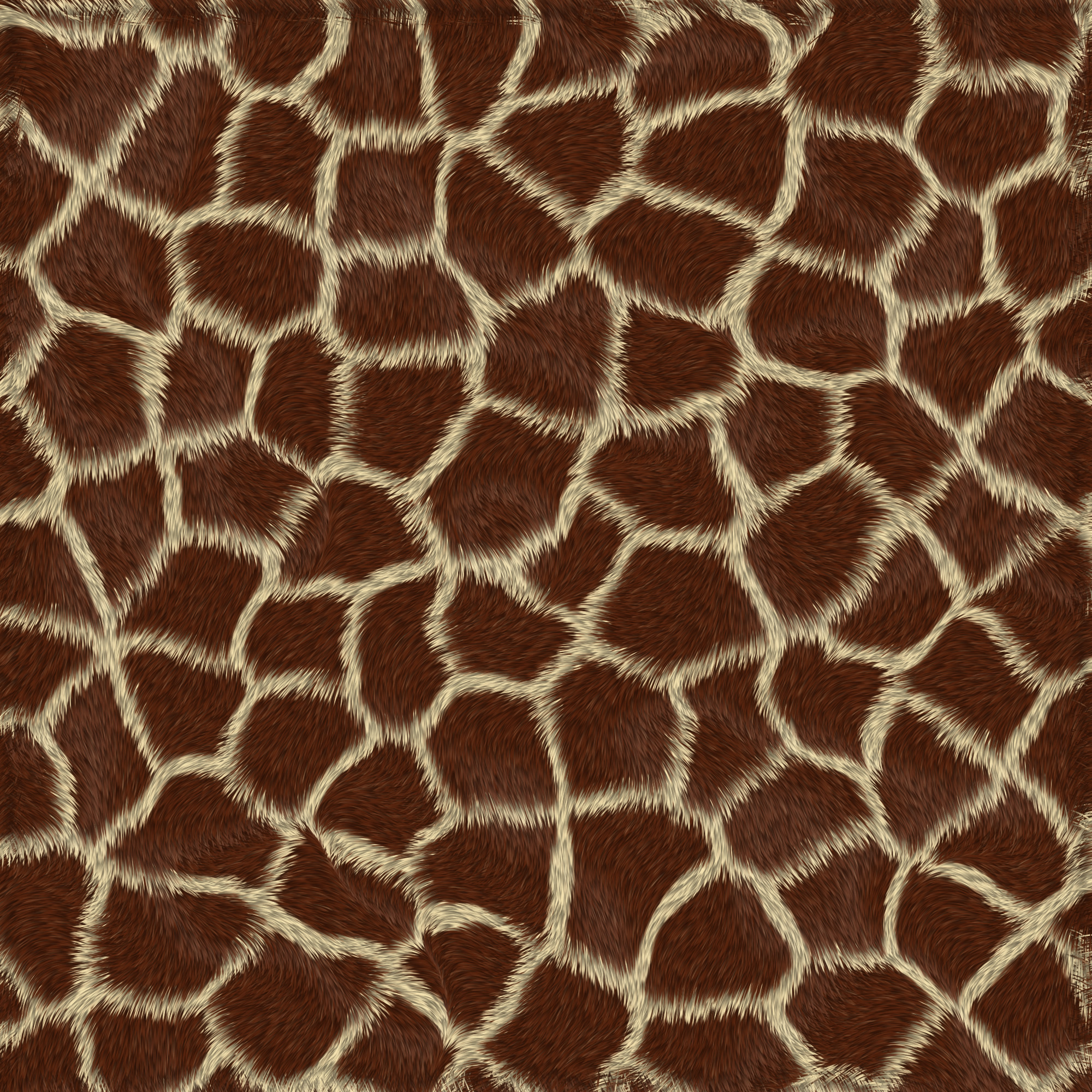 жираф, шкура жирафа, animal texture, background, шкура животного текстура, фон