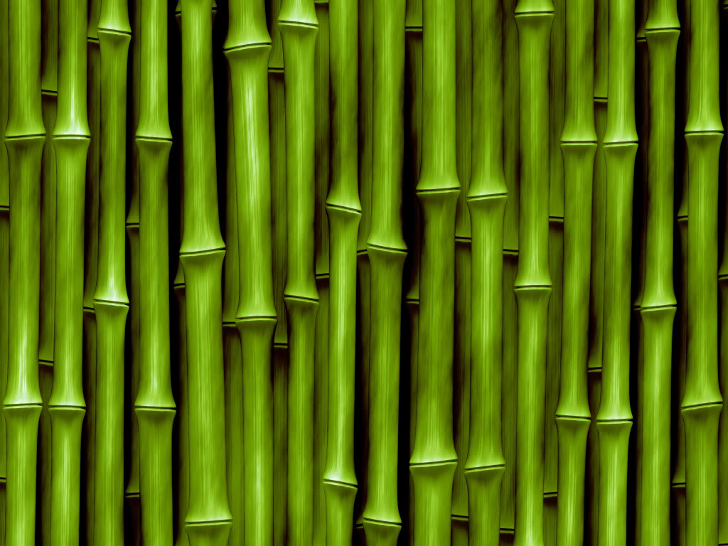 зеленый бамбук, текстура бамбука, green bamboo texture, фото, фон