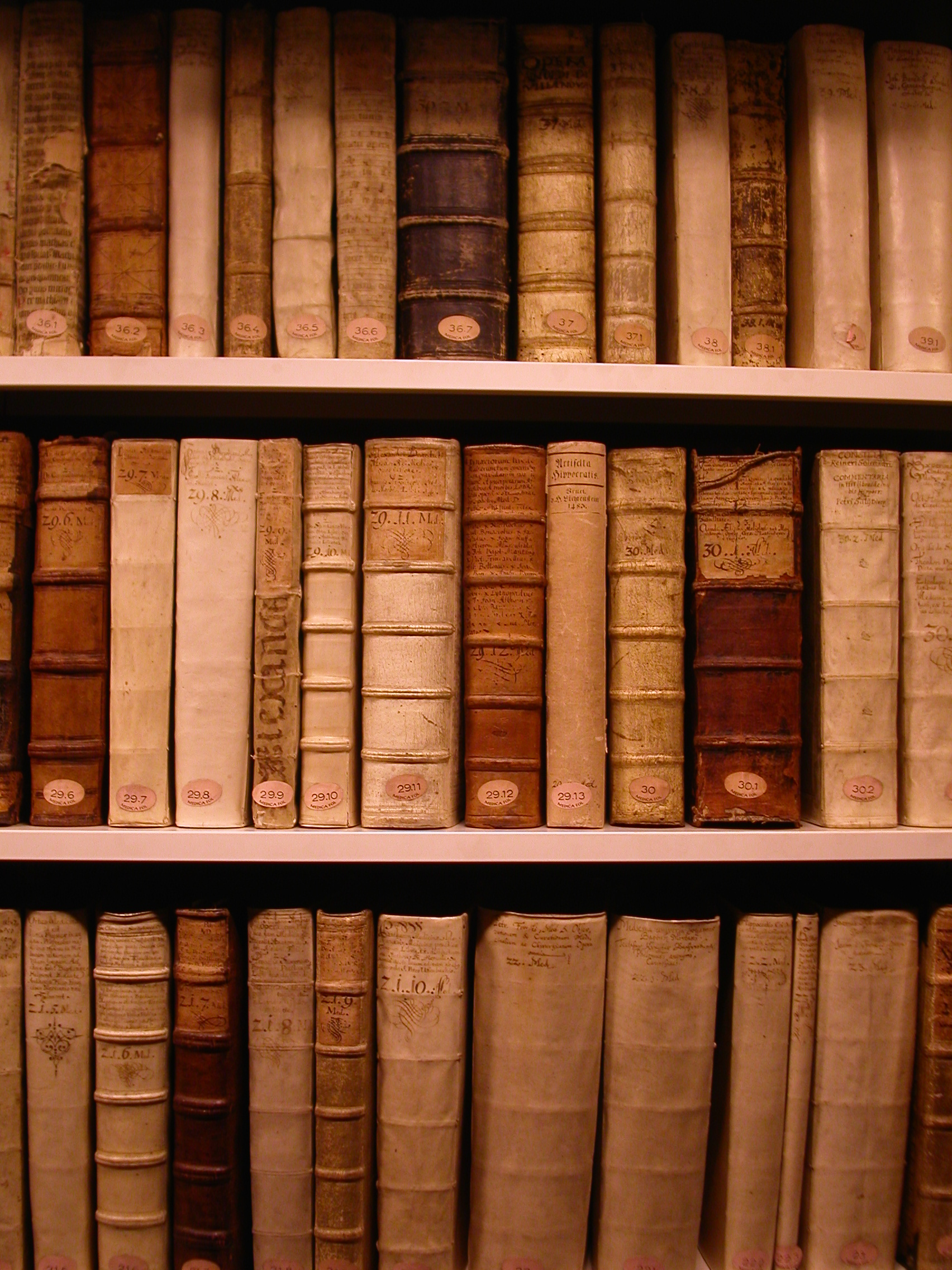 книги на полке, скачать фон, Books on a shelf texture background, books
