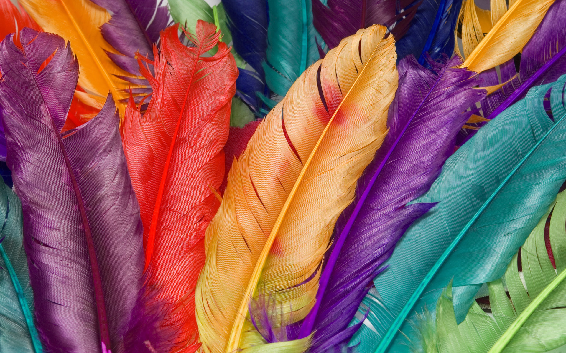 разноцветные перья, цветные перья, попугай, скачать фото, фон, текстура, feather texture