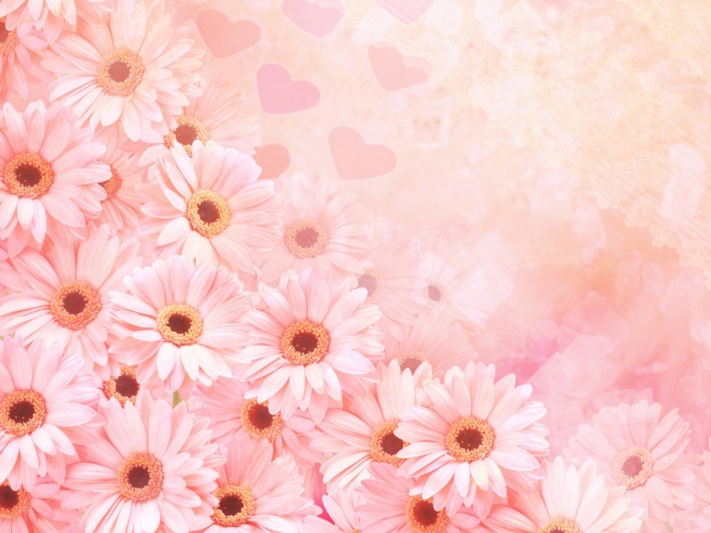 розовые цветки, текстура, цветы, цветочный фон, flower texture