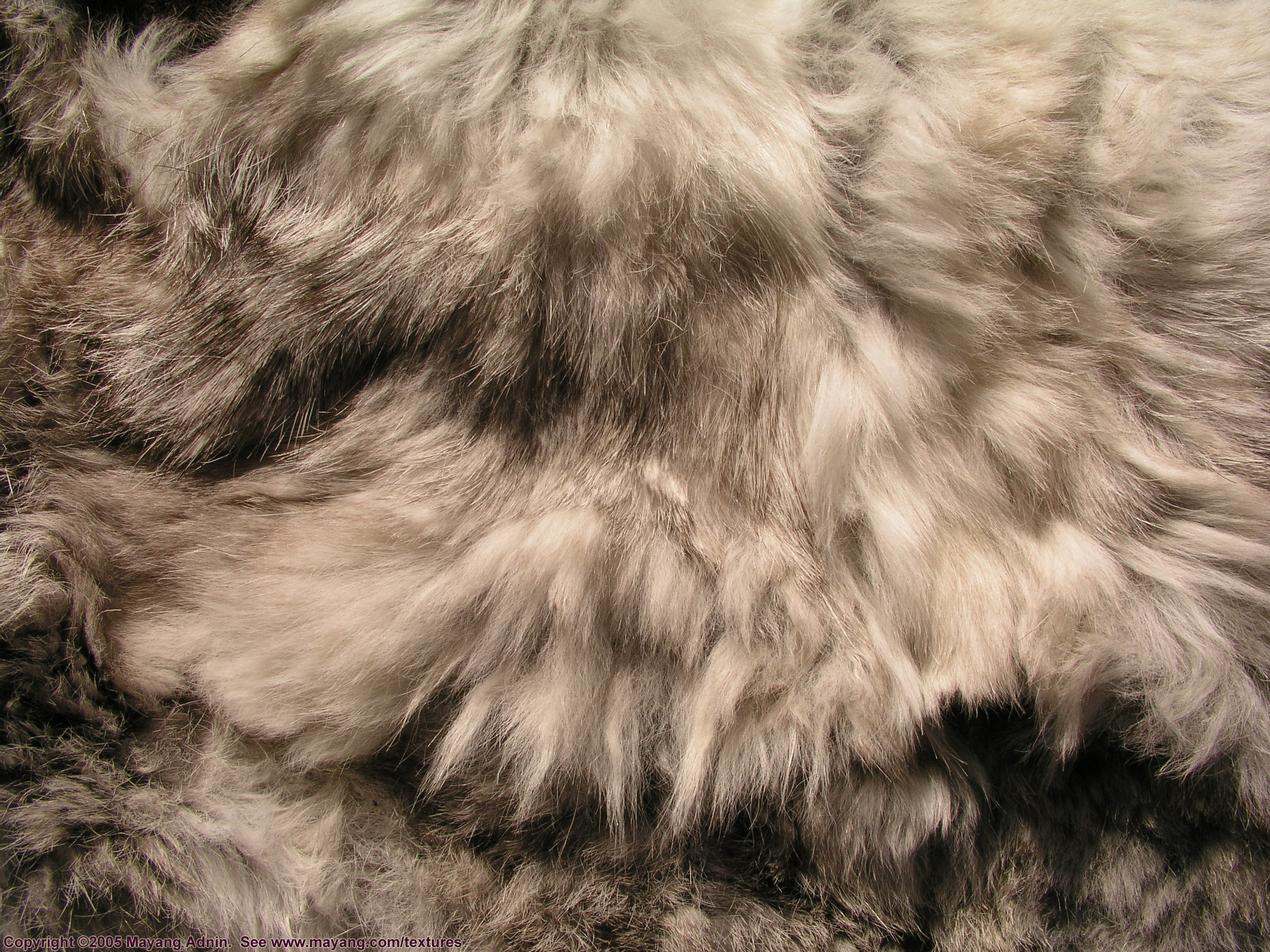  , skin, texture fur, wolf fur texture background, background