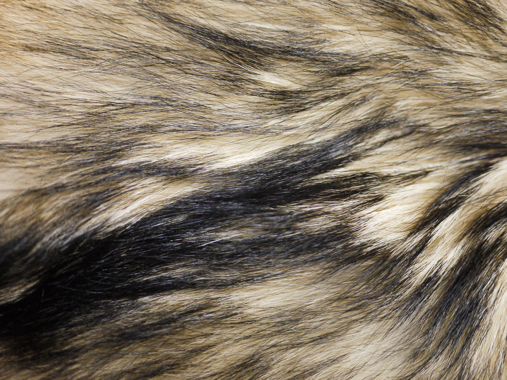  , skin, texture fur, wolf fur texture background, background