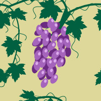 Виноград текстура