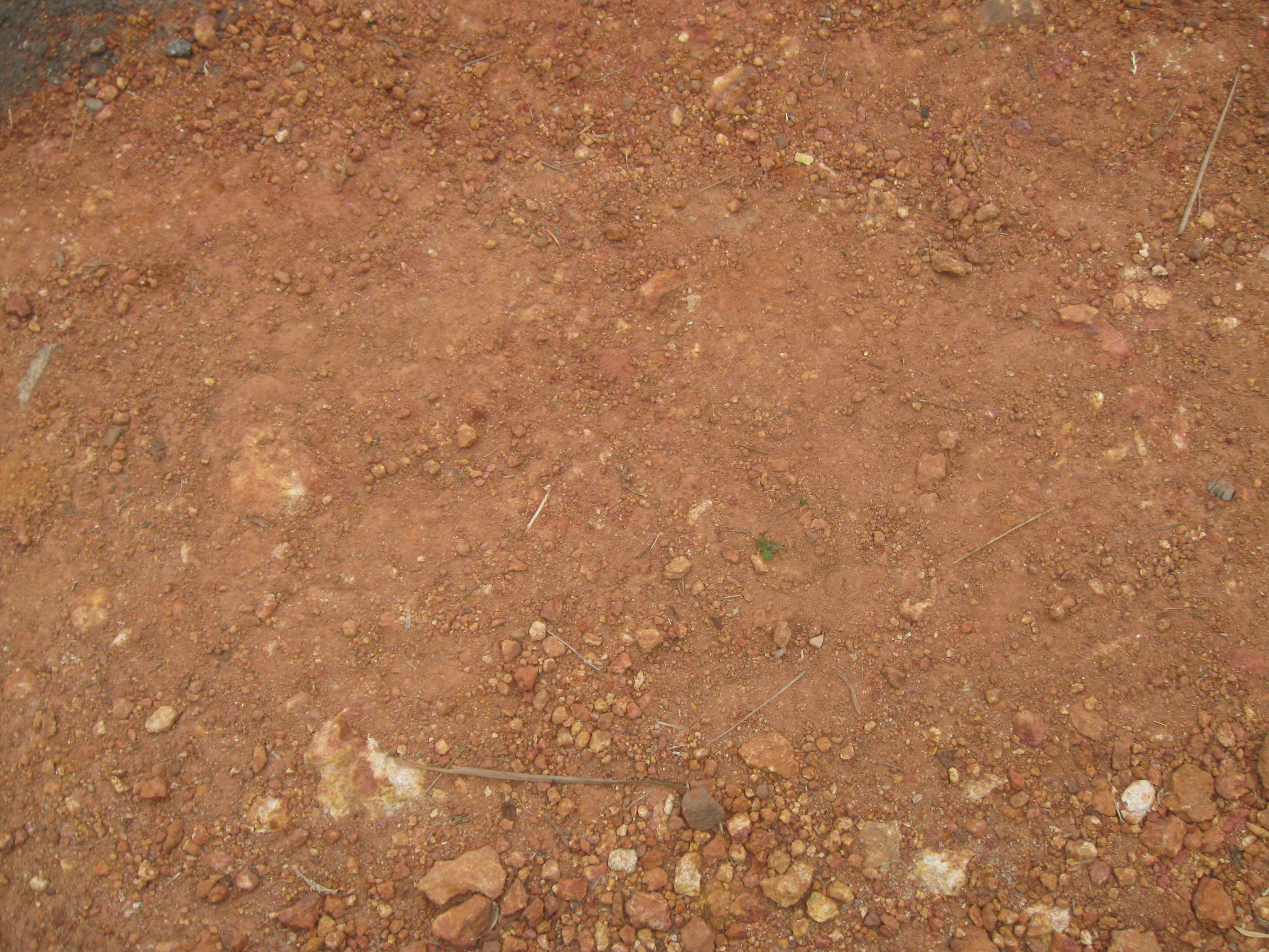 texture ground earth, download photo, background, ground texture