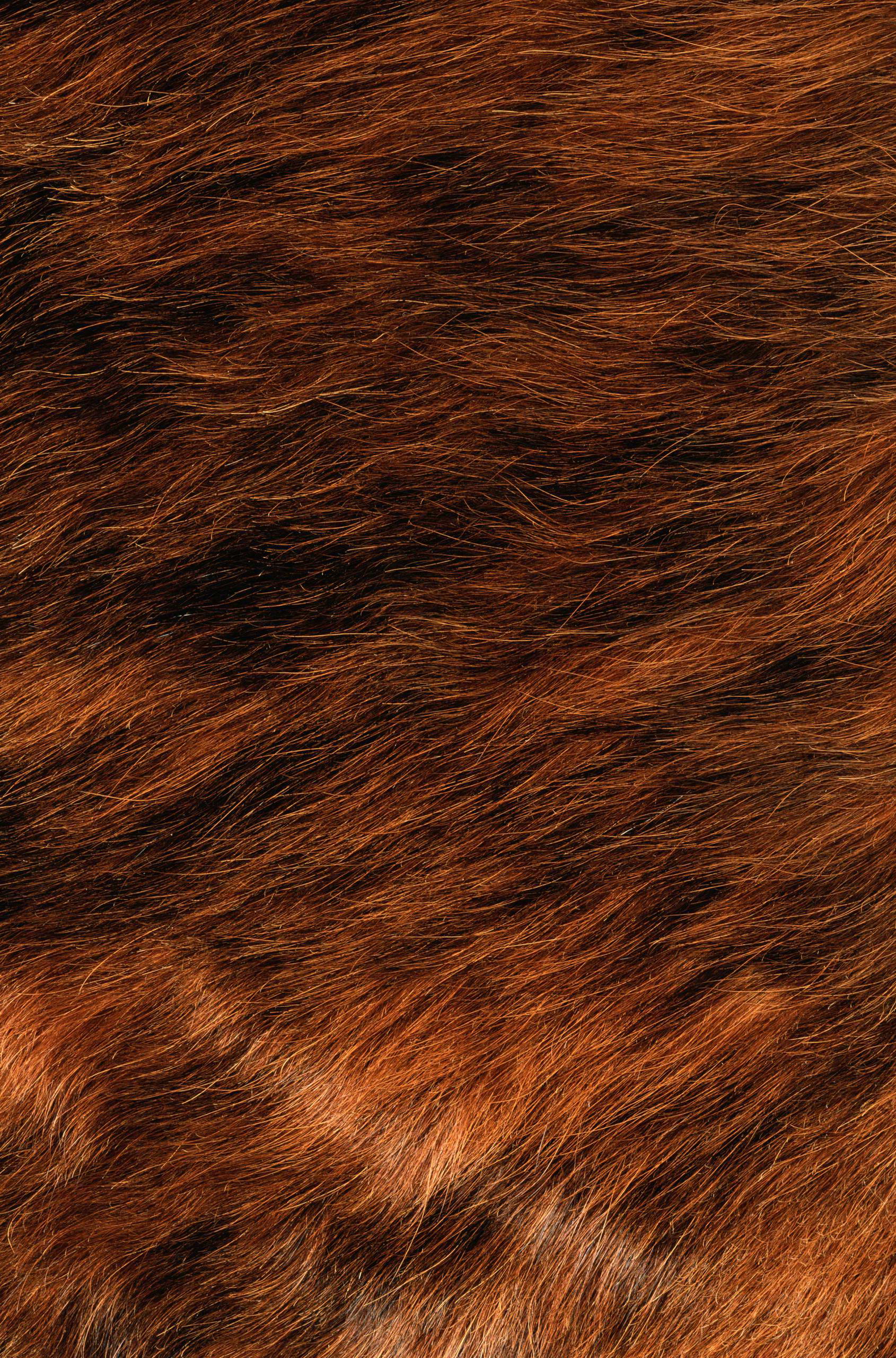рыжие волосы, текстура, фон, orange hair texture, background