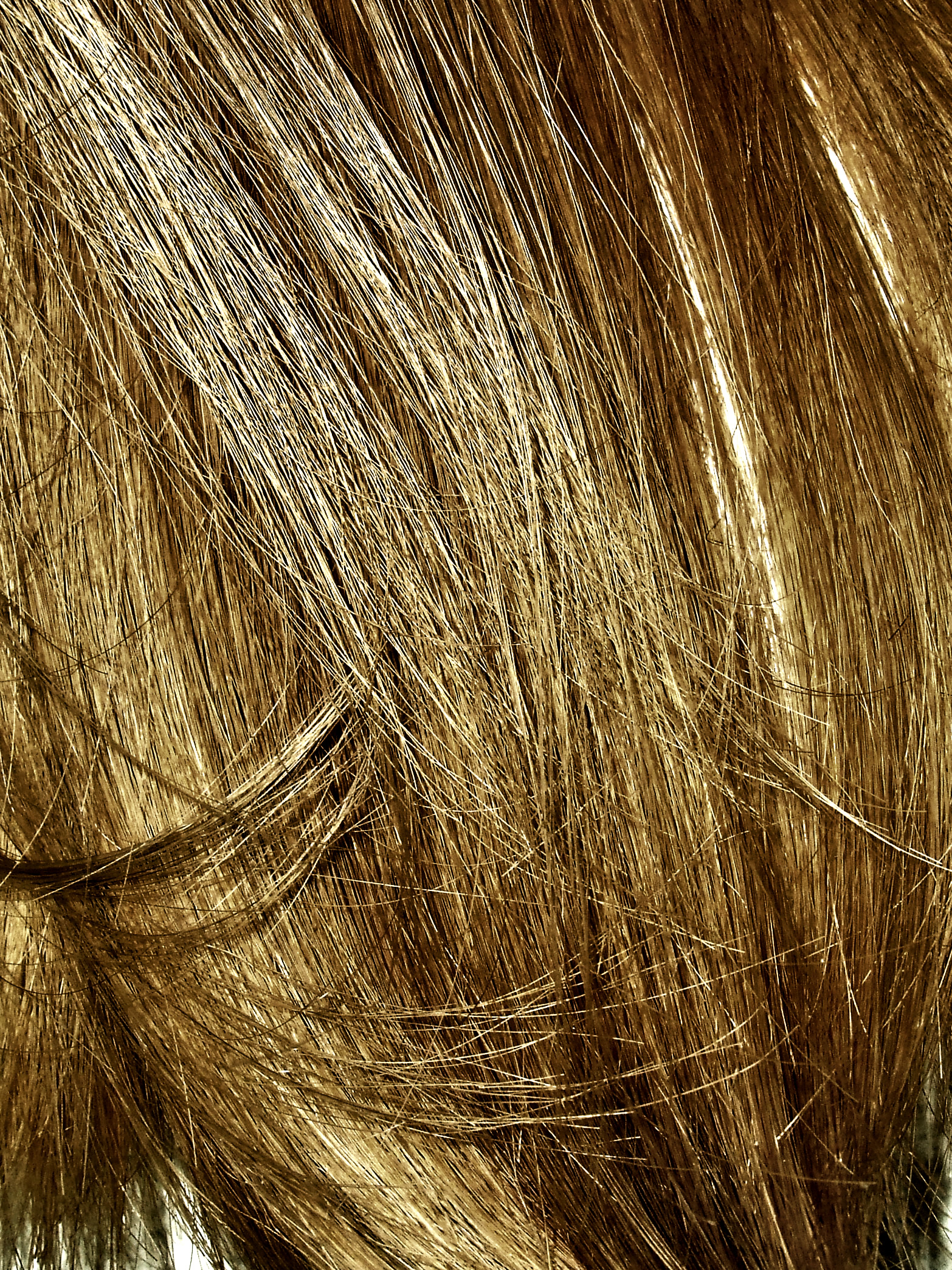 hair texture, background, hair texture, background