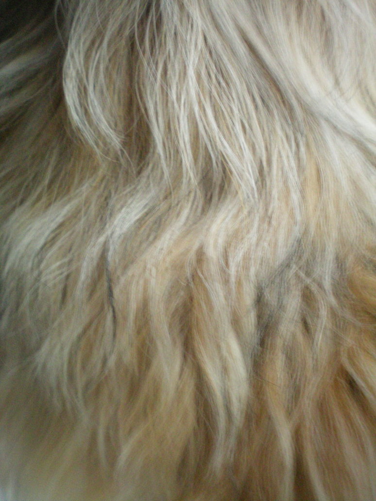 блондинка волосы, текстура, фон, white hair texture, background