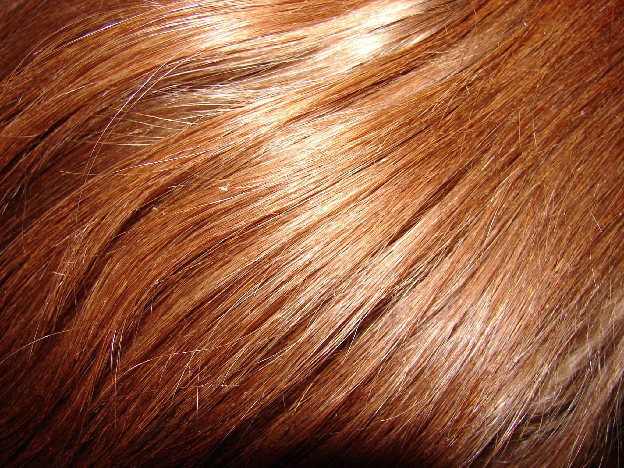 брюнетка, каштановые волосы, текстура, фон, brown hair texture, background