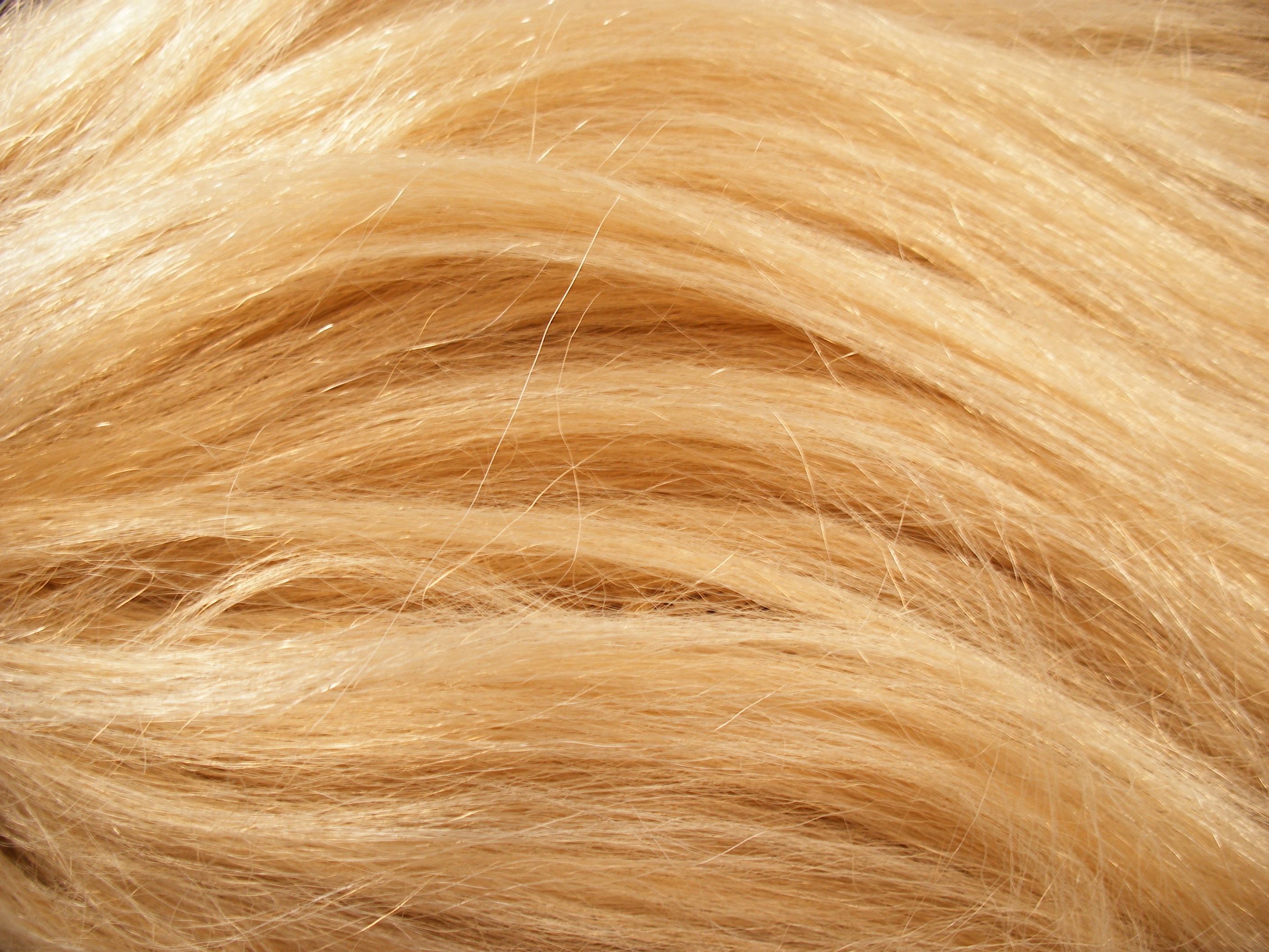 блондинка волосы, текстура, фон, white hair texture, background