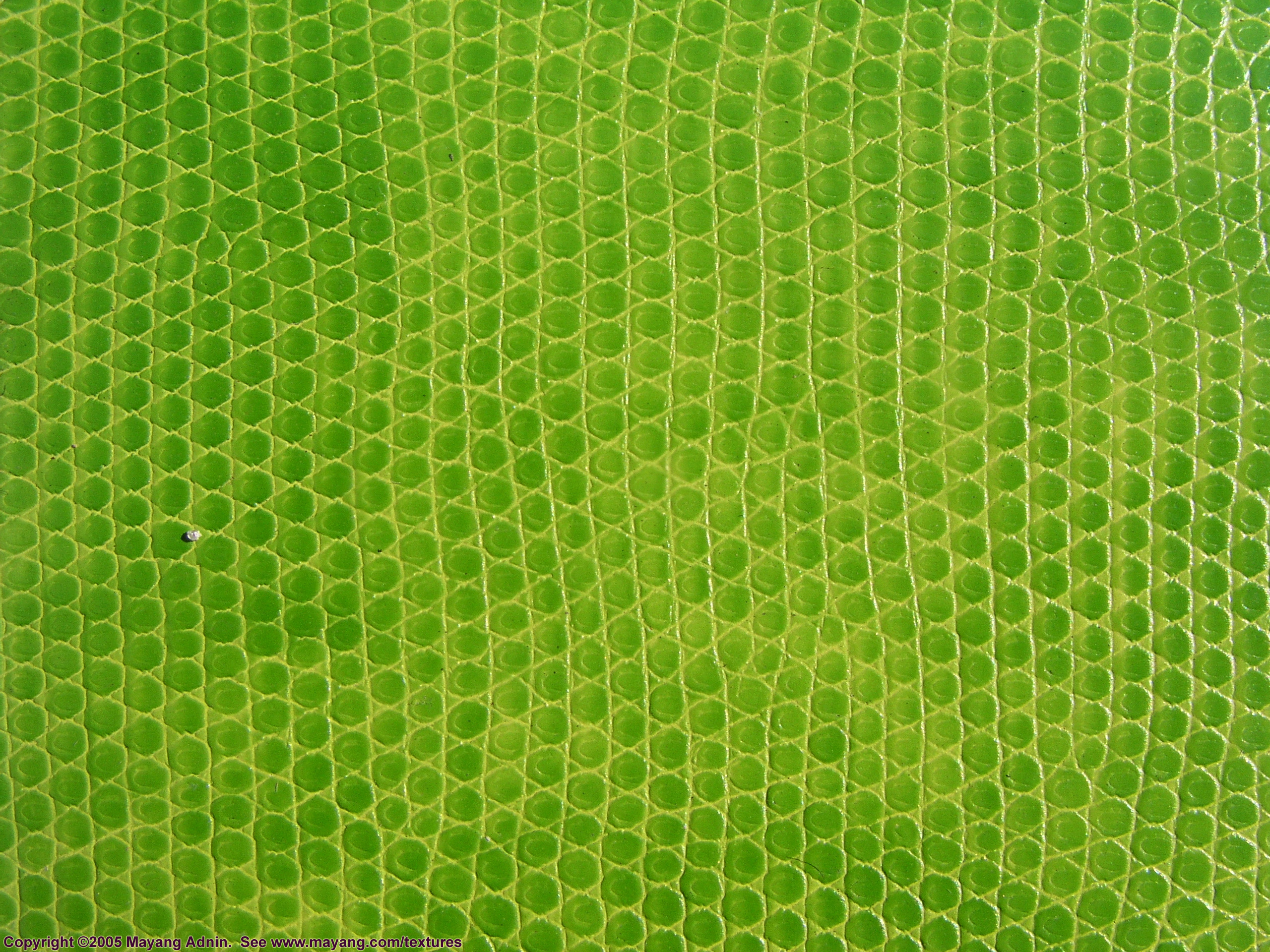 зеленая змеиная кожа текстура, фон, leather background, кожанный фон