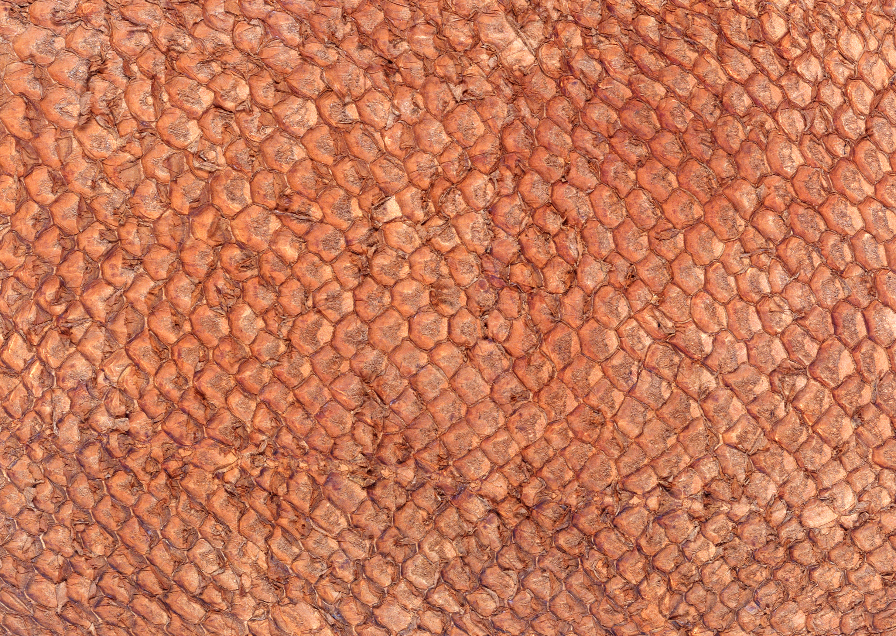 кожа, текстура кожи, brown leather texture, скачать фото, фон