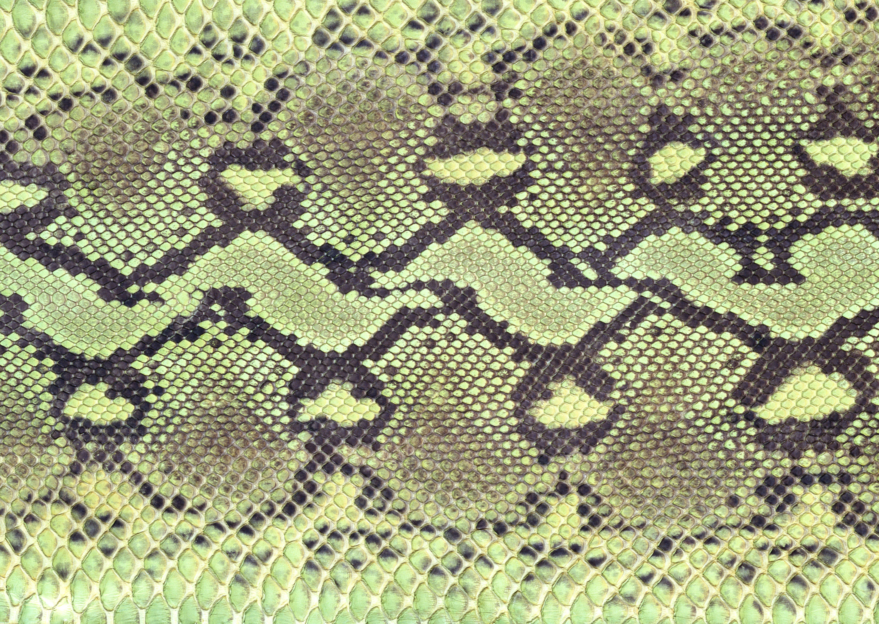 Змеиная кожа текстура