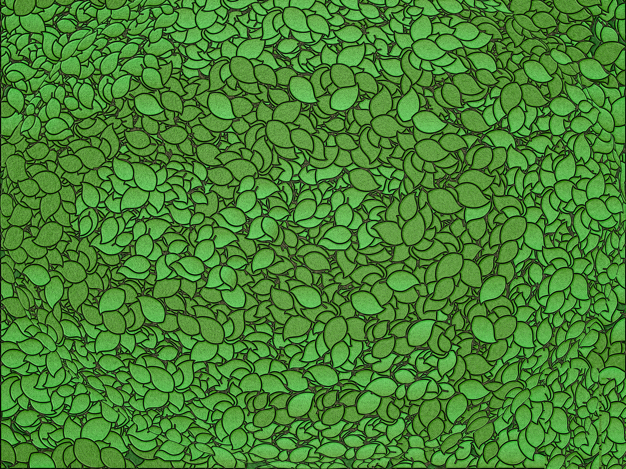 Texture Green Leaves Download Photo Green Texture