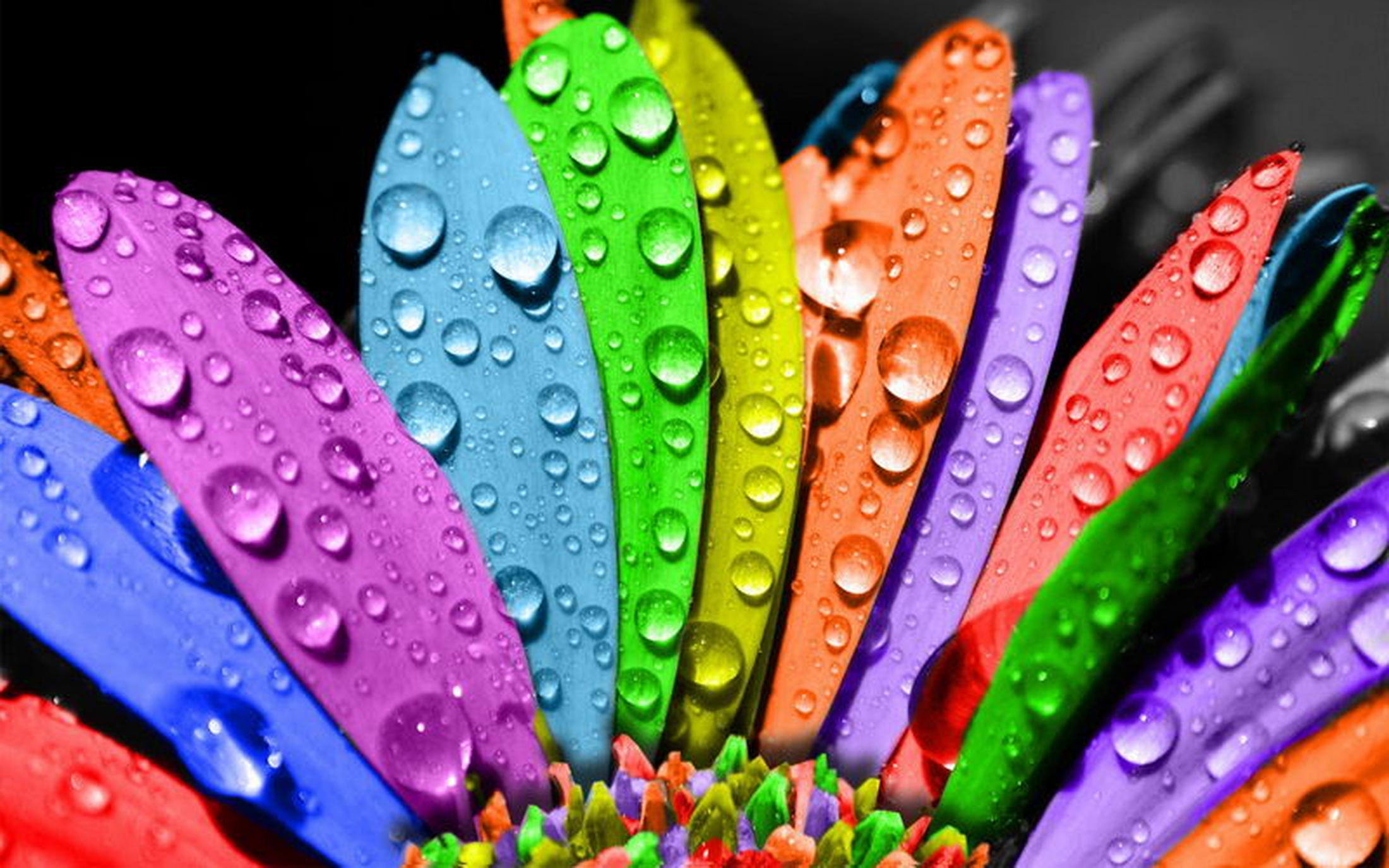  colorful rainbow paint, texture paints, background, download photo, color rainbow paint texture background