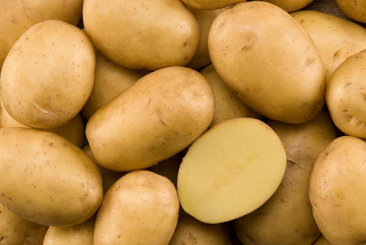 Картошка картофель текстура фон