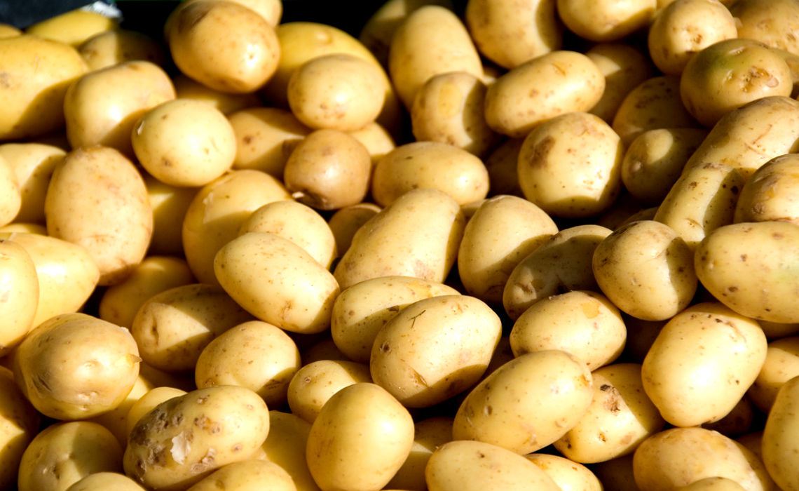 Картошка картофель текстура фон