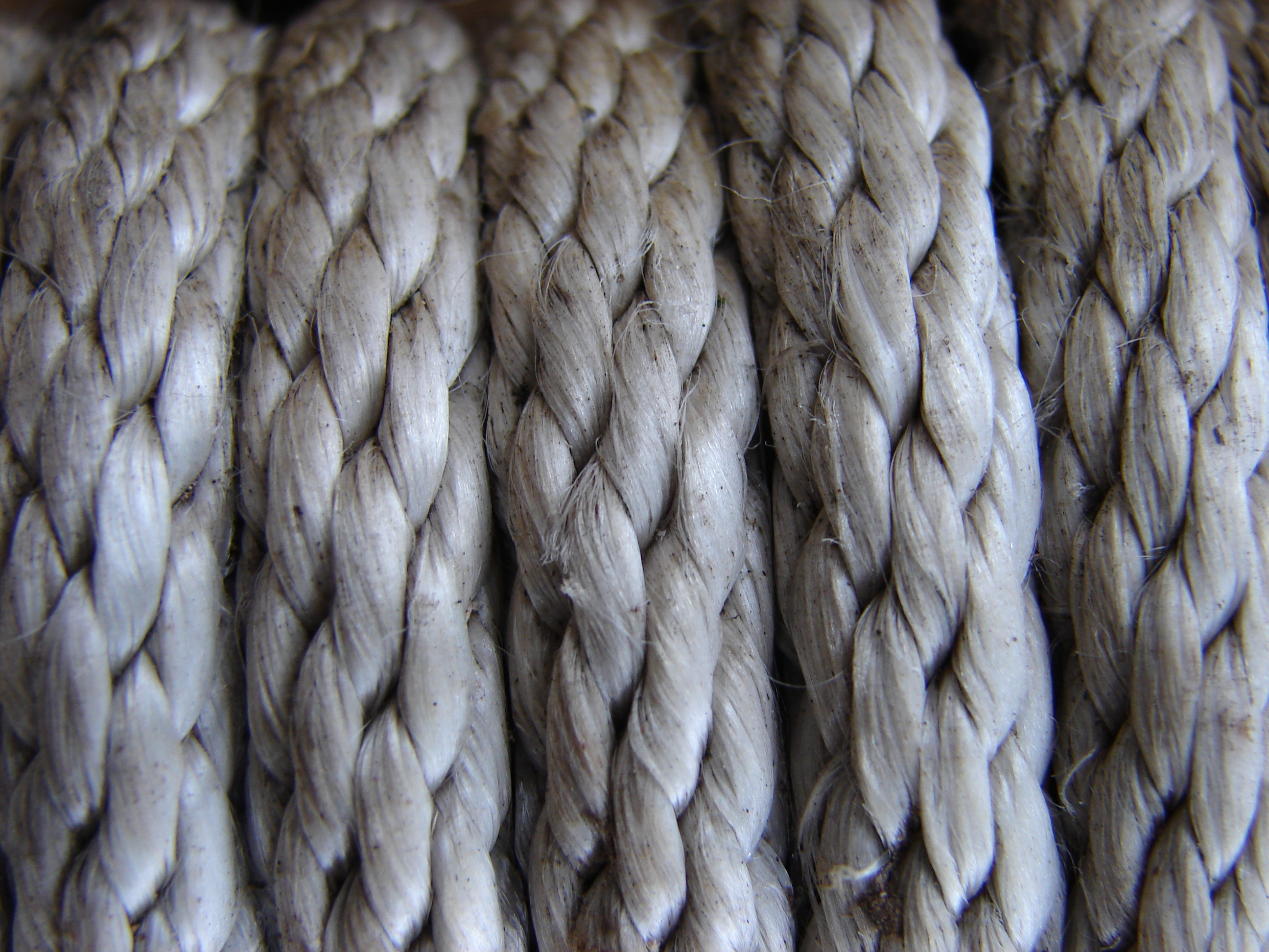 rope, texture, download photo, background, rope texture background