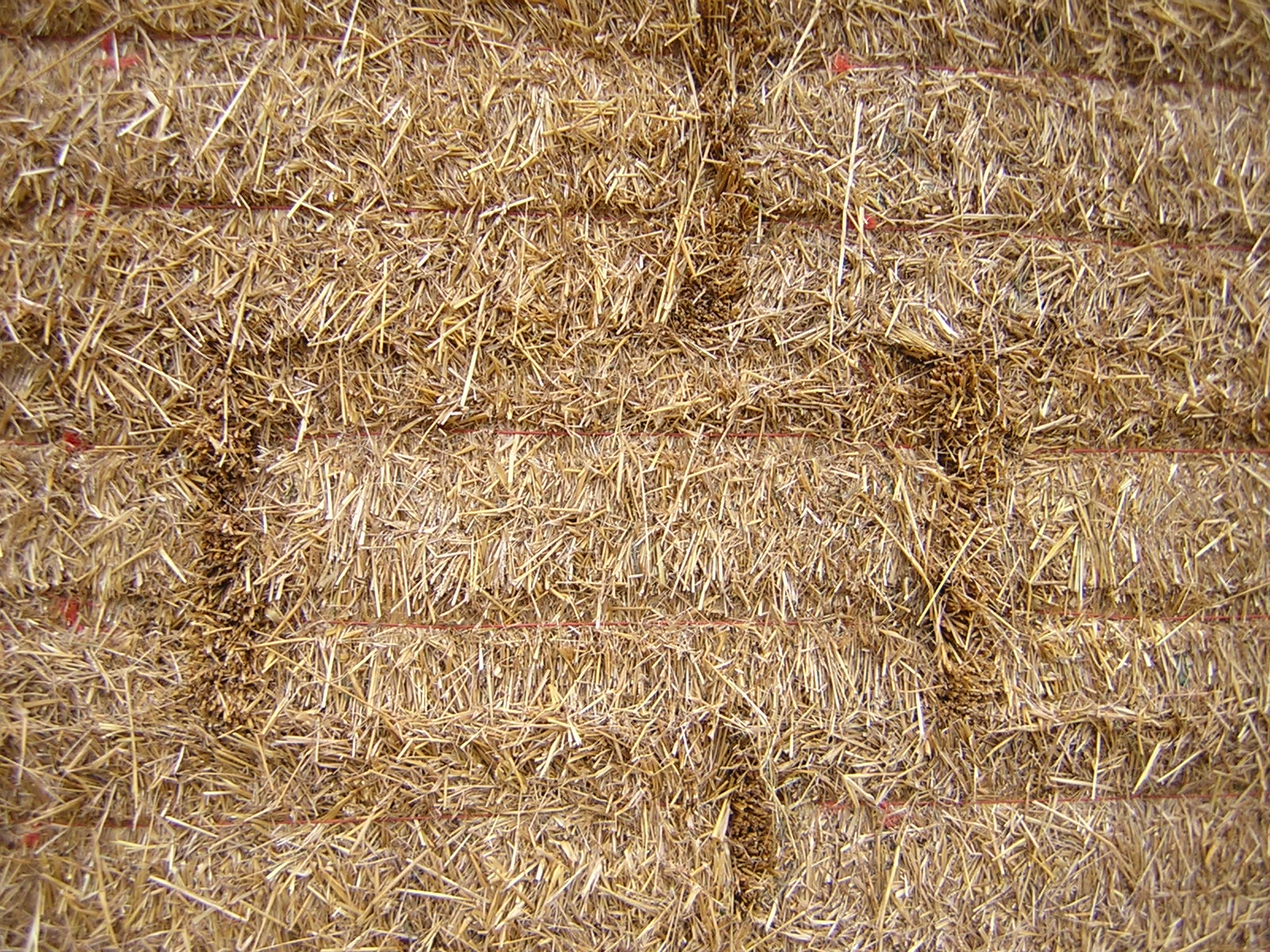 текстура соломы, скачать фото, фон, straw texture background