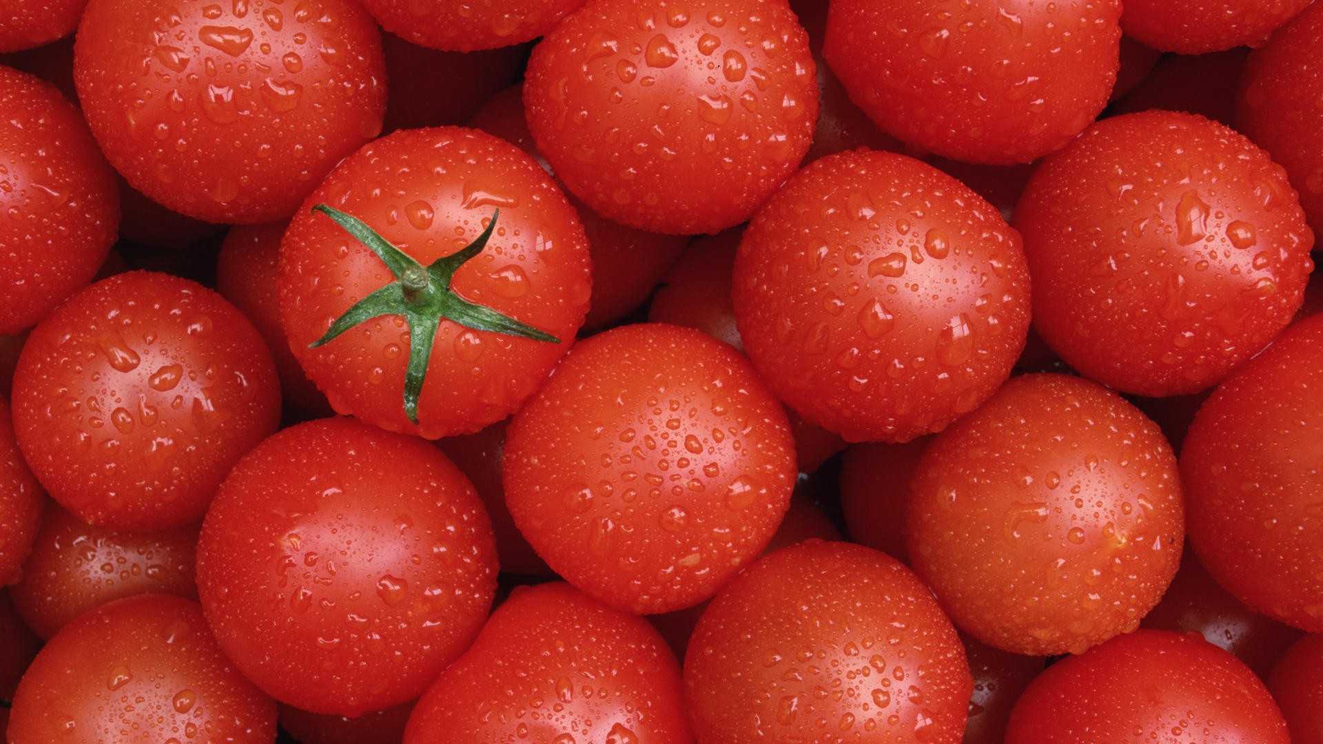 помидоры текстура фон