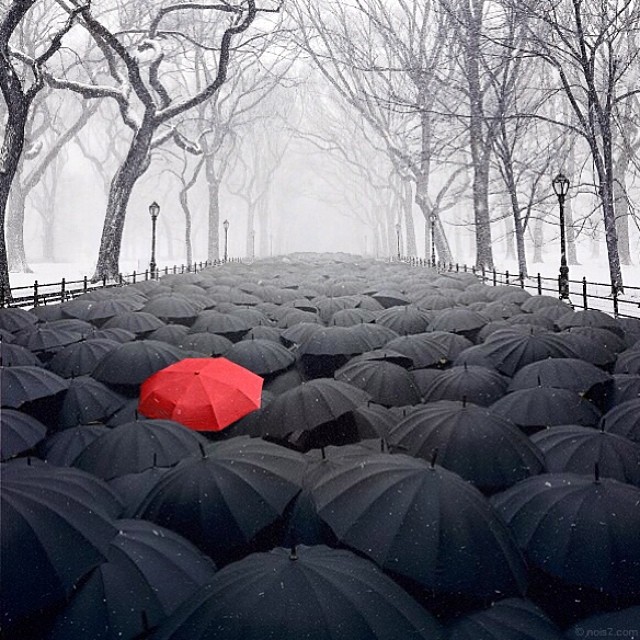 Зонт, зонтики текстура