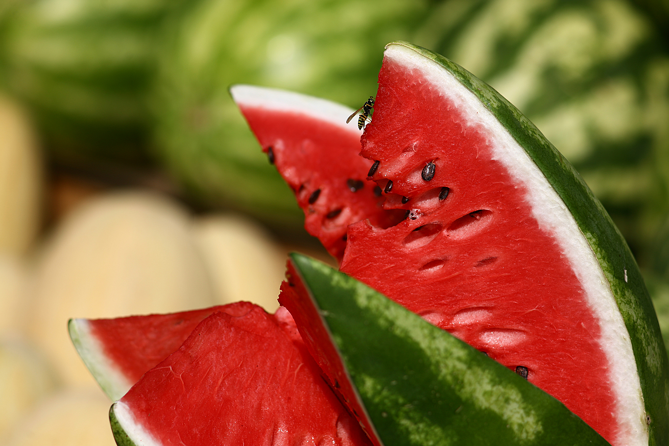 Арбузы, скачать фото, текстура, фон для сайта, watermelon texture background