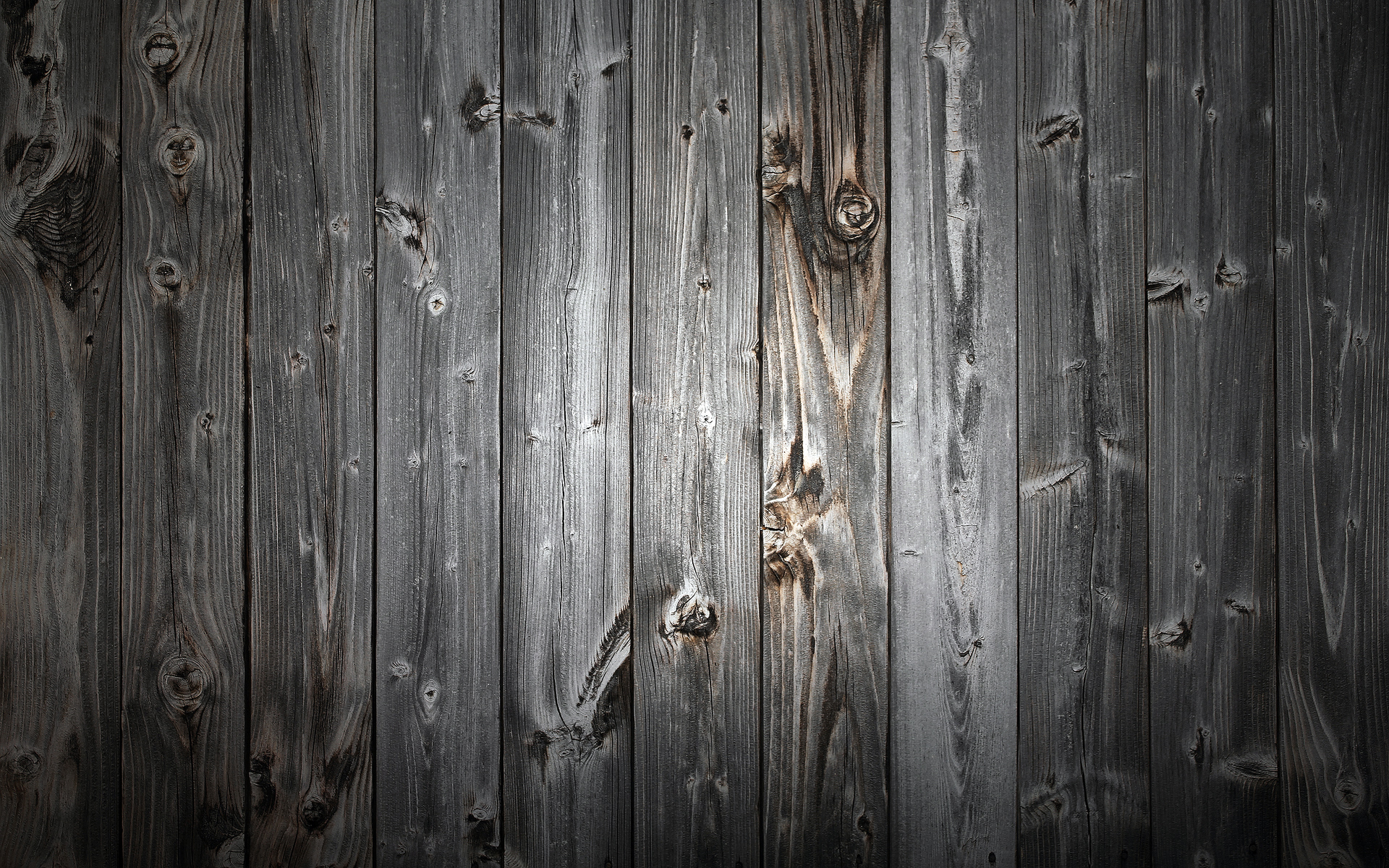 texture, background, old tree wood, download photo, wood texture