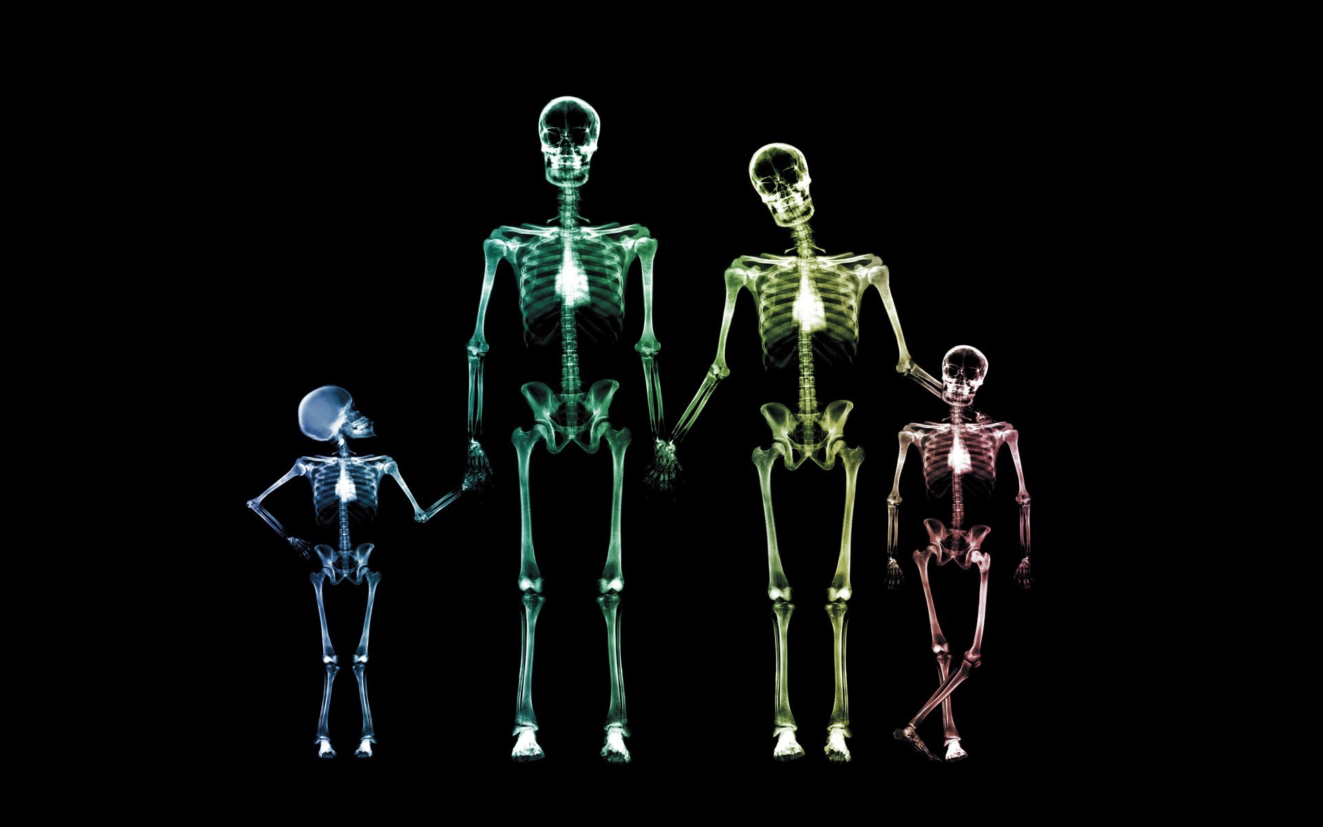 семья рентген, текстура, фон, скачать фото, family x-ray texture background