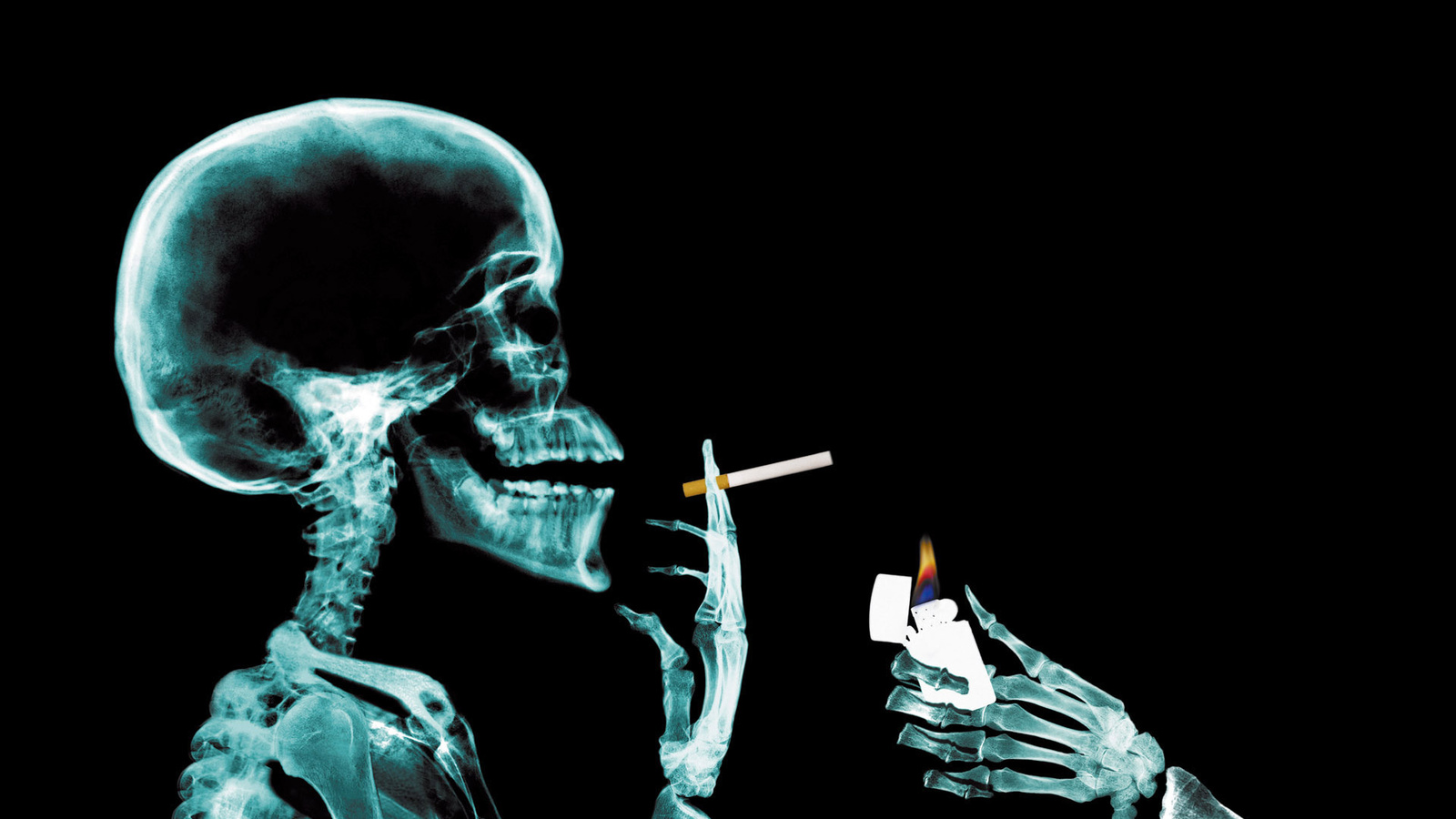 голова, курильщик, курение, череп рентген, текстура, фон, скачать фото, smoking head skull x-ray texture background