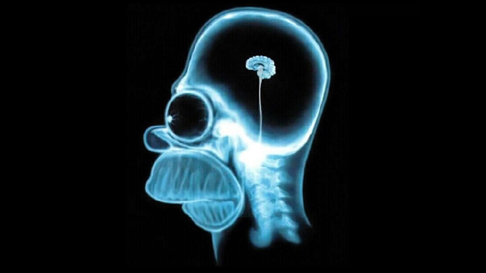 голова Гомера Симпсона, череп рентген, текстура, фон, скачать фото, head Homer Simpson skull x-ray texture background