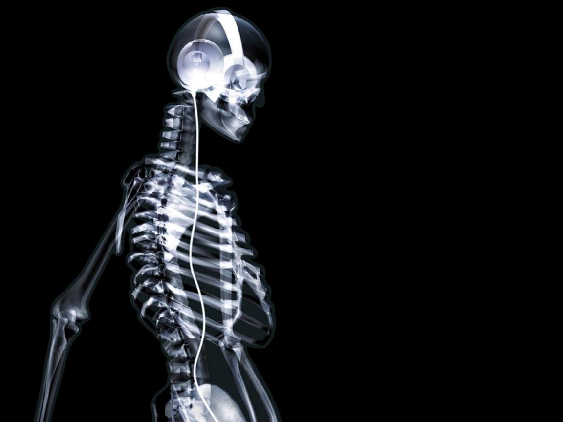 человек, скелет рентген, текстура, фон, скачать фото, x-ray texture background