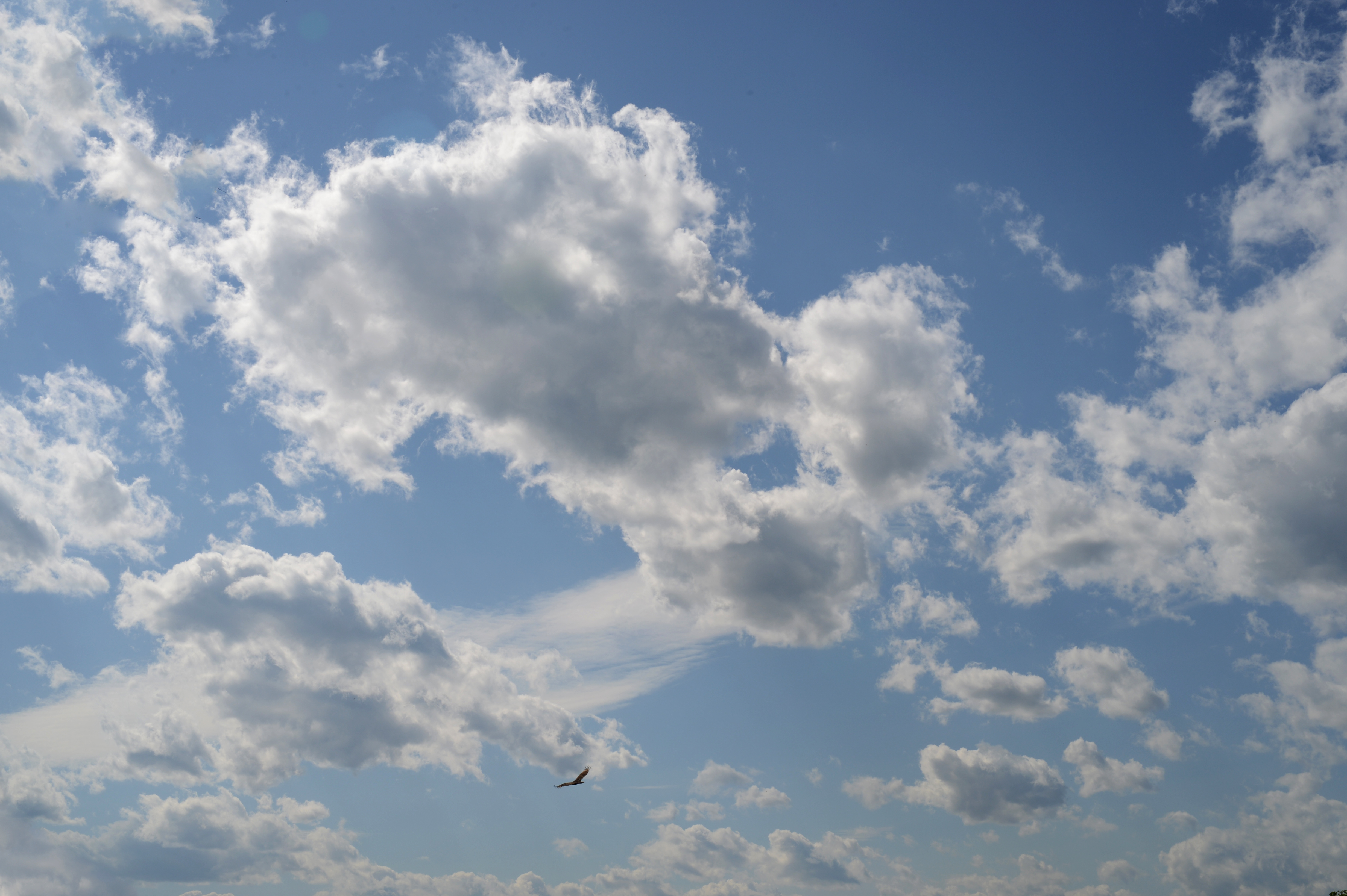 Облака текстура. Небо текстура. Текстура неба с облаками. Облака фактура.