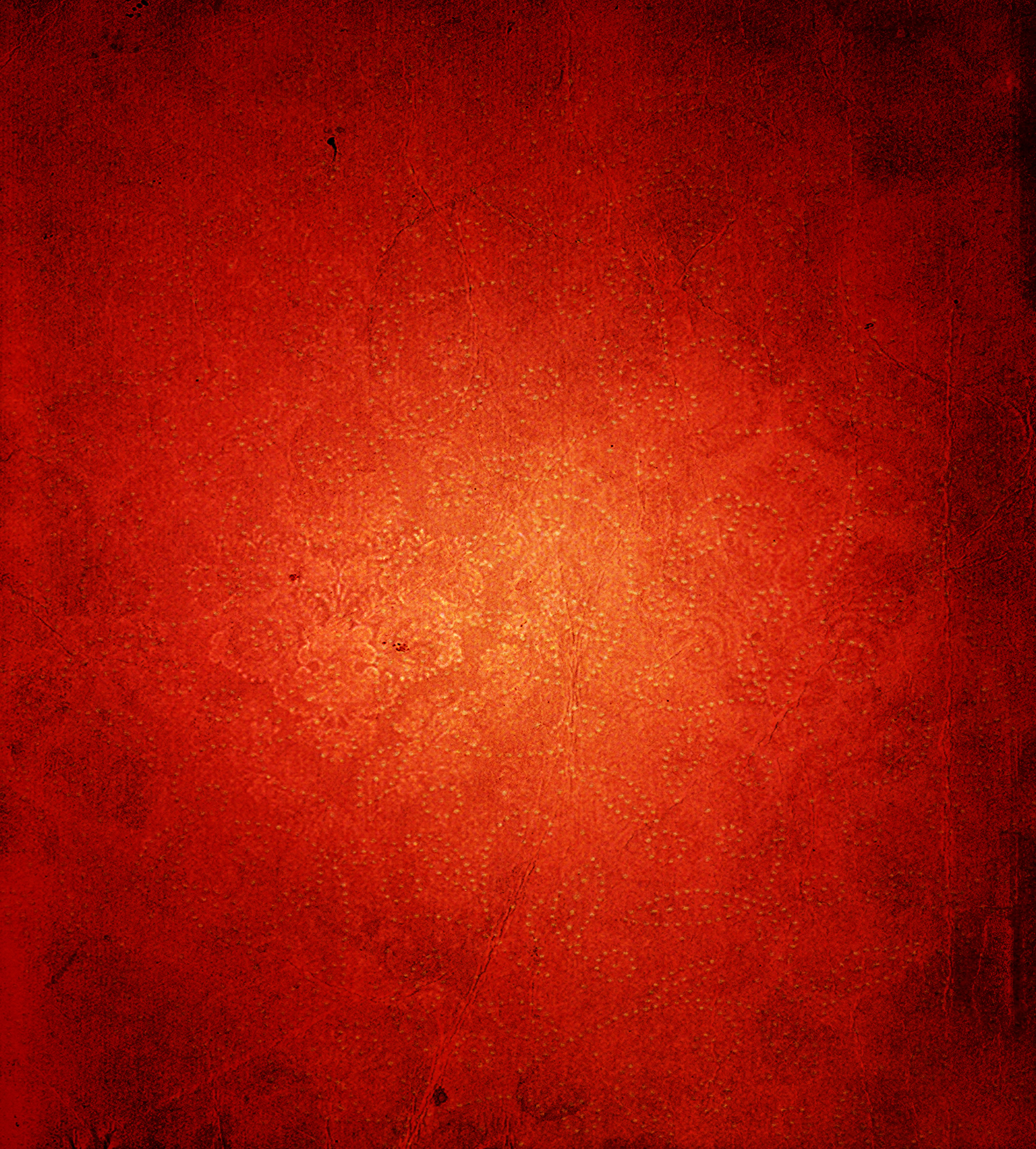 Với sơn vân nổi màu đỏ, tưởng chừng như những điểm nhấn trên bức tường đã cất lên tiếng nói riêng của chúng. Khi nhìn vào nó, bạn sẽ nghe được những câu chuyện kể về sự táo bạo và cá tính. Hãy để chúng cùng làm nên một không gian độc đáo cho căn phòng của bạn.