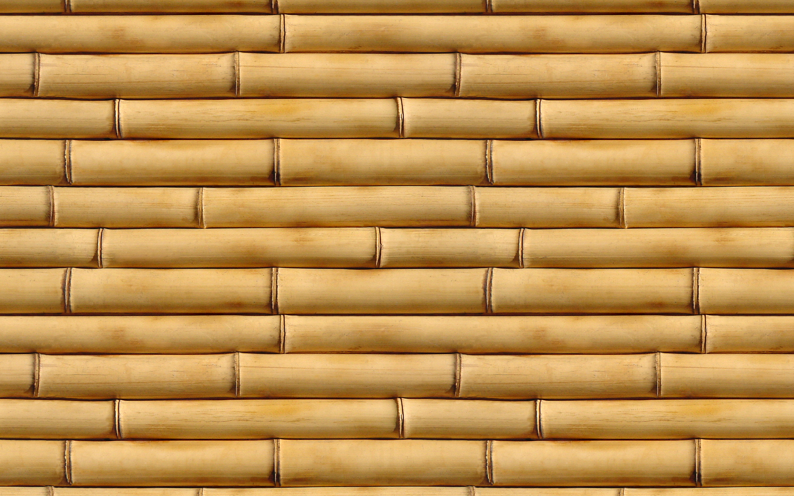 Bamboo Texture Download Photos Bamboo Texture Background Bamboo Texture Download Photos Bamboo Texture Background