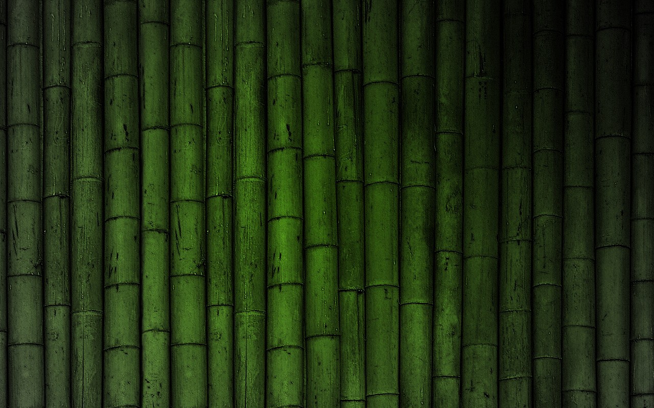 bamboo, texture bamboo , bamboo texture, photo, background