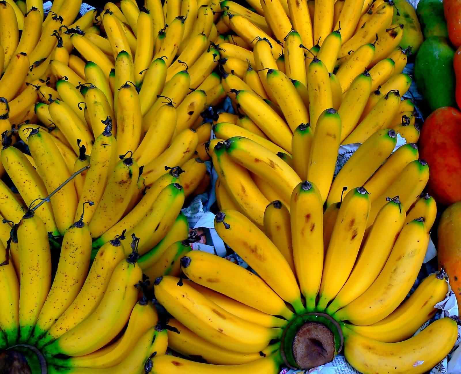 Banana texture background