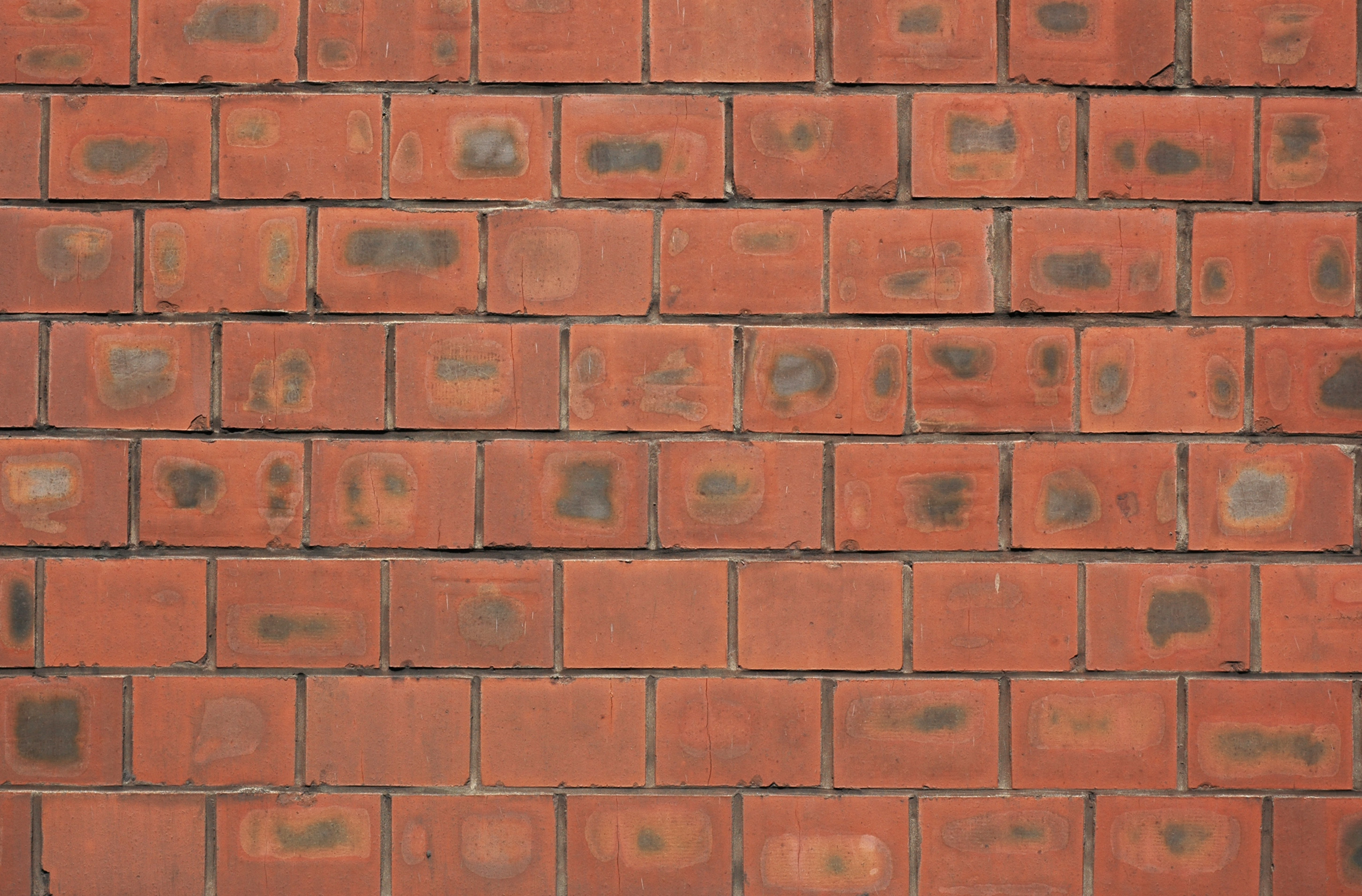 brick wall, brick wall, Texture brick wall, bricks, bricks texture