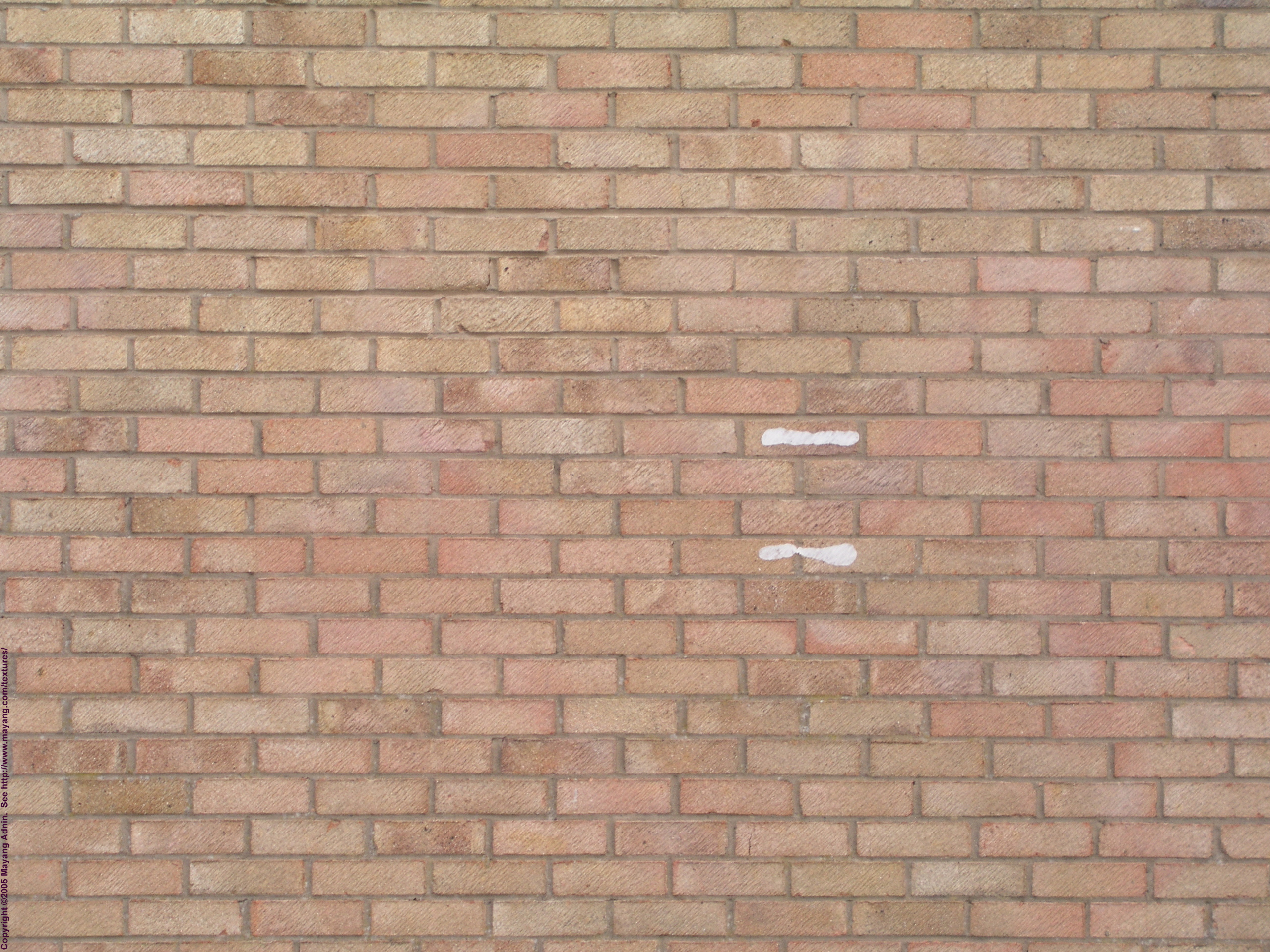 brick wall Texture