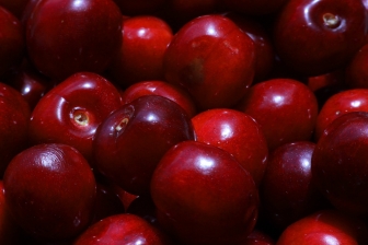 Cherry texture background