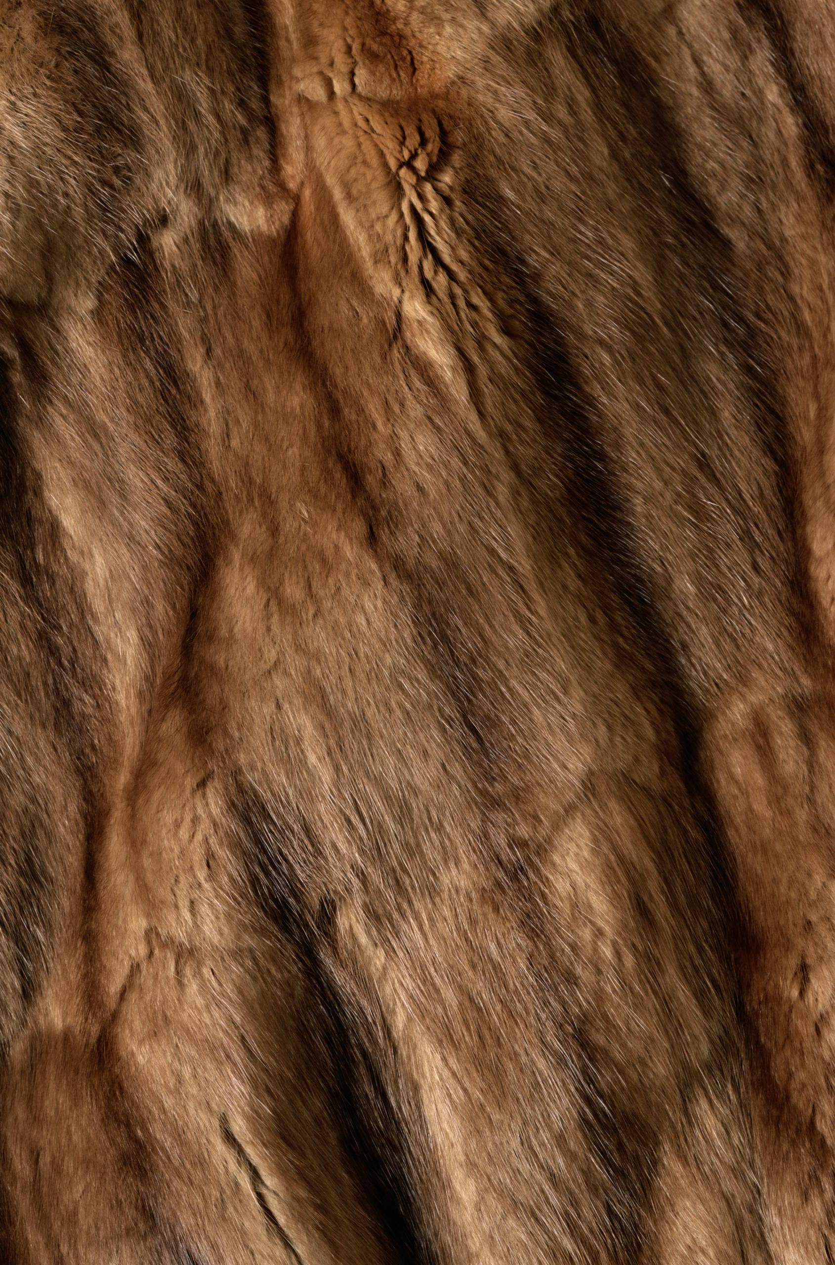  , texture fur, brown fur texture background, background