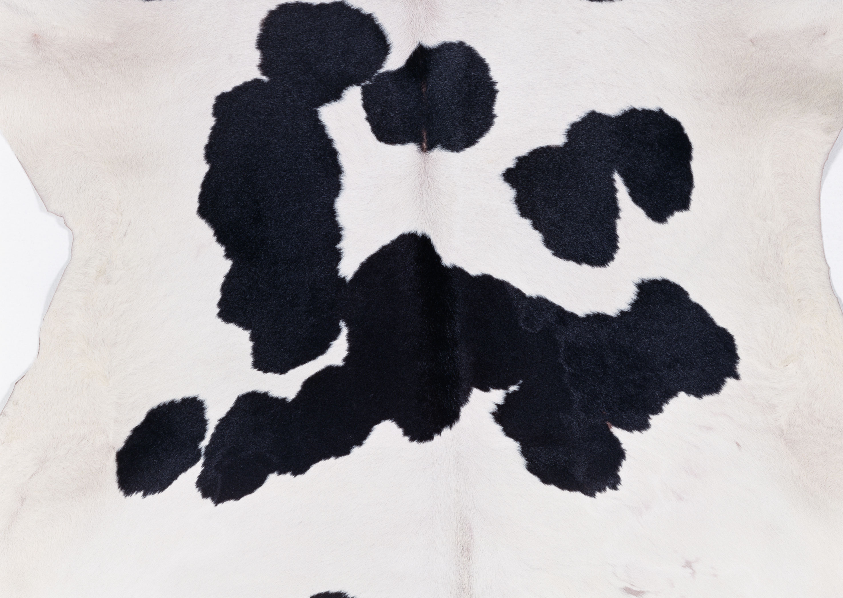 Cow fur texture background image