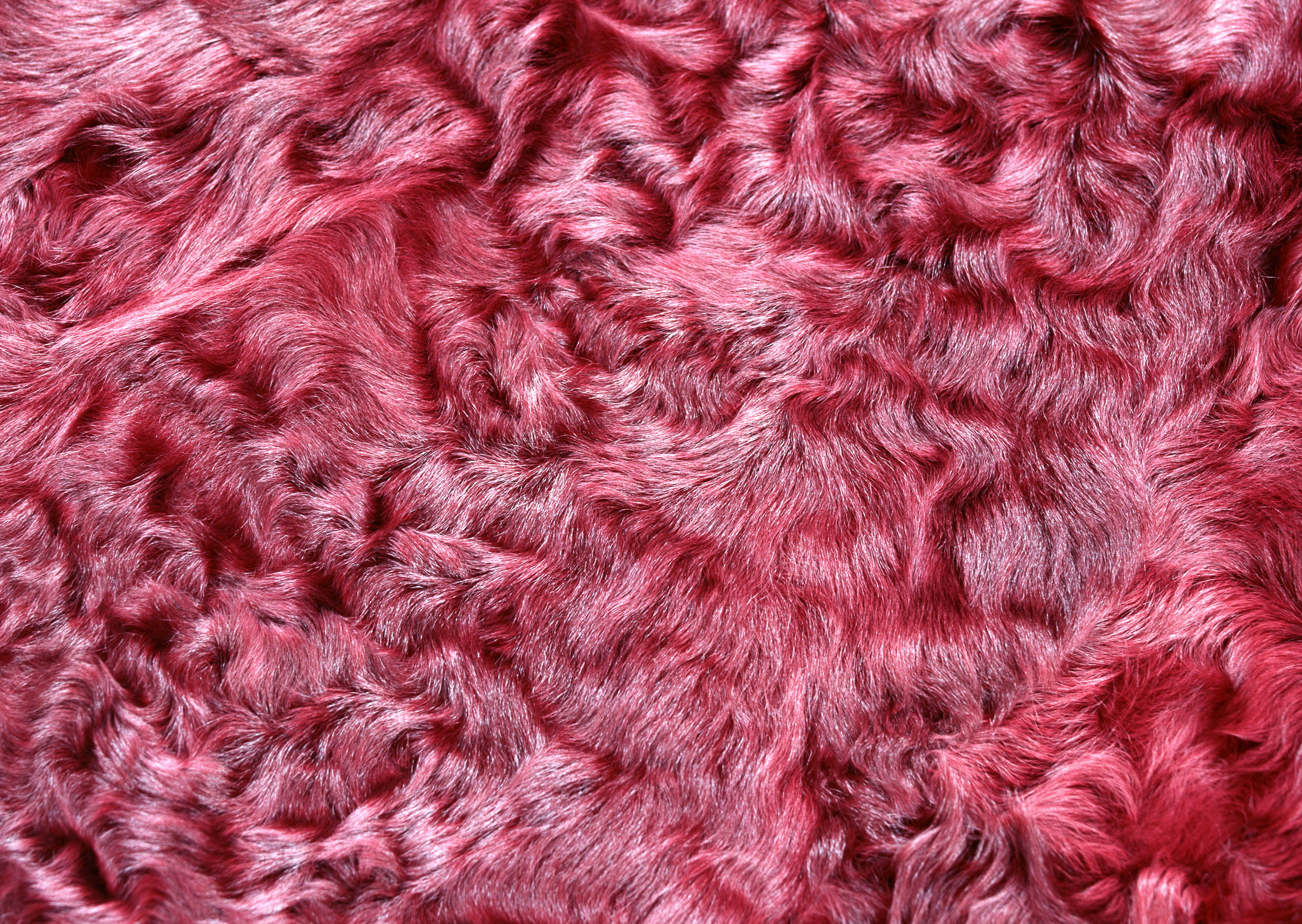 Pink fur texture background image