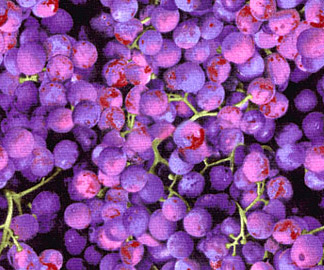 Grape texture