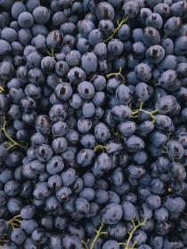 Grape texture image