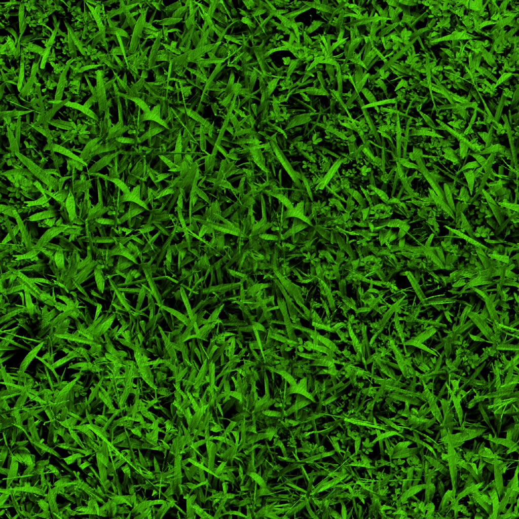 Grass, grass, texture, texture and backgrounds grass, green grass