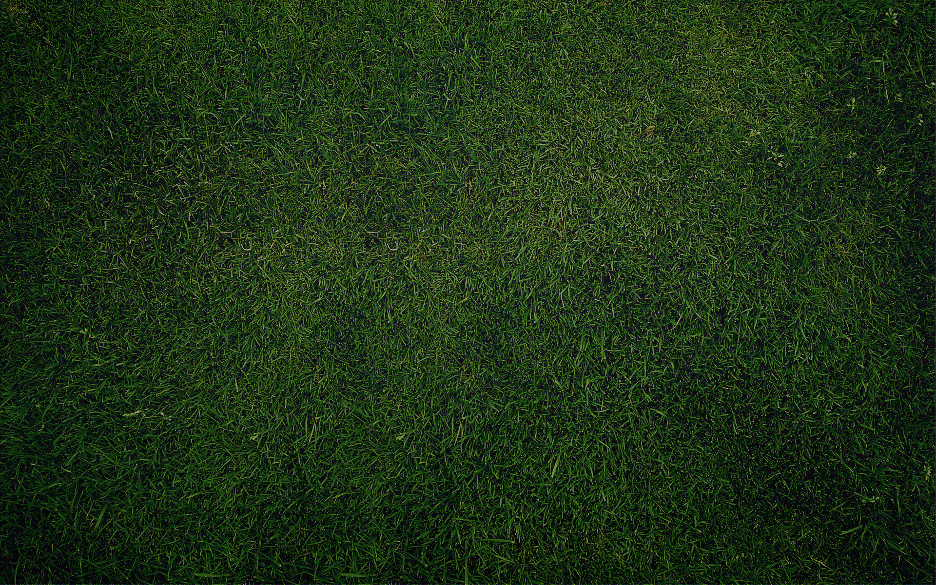 green grass, texture, background, download
