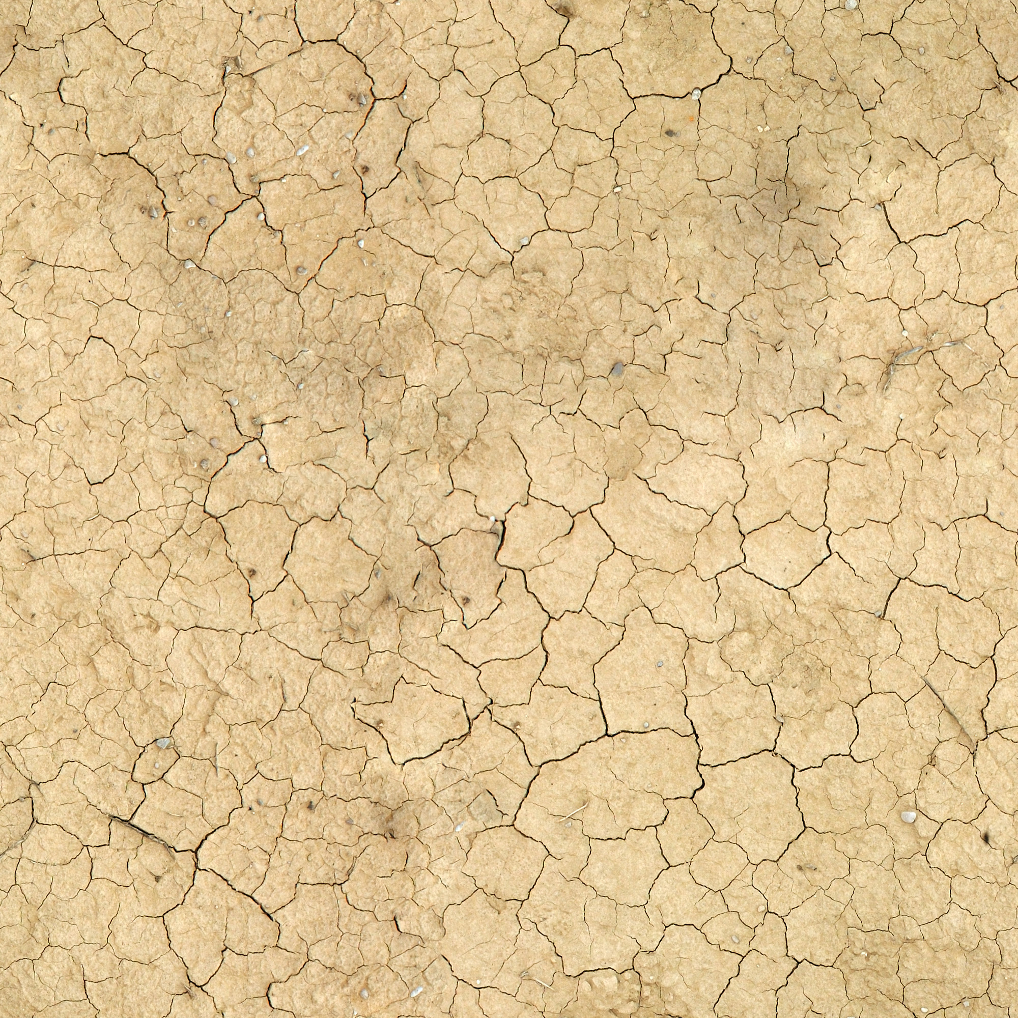 texture ground earth, download photo, background, ground texture