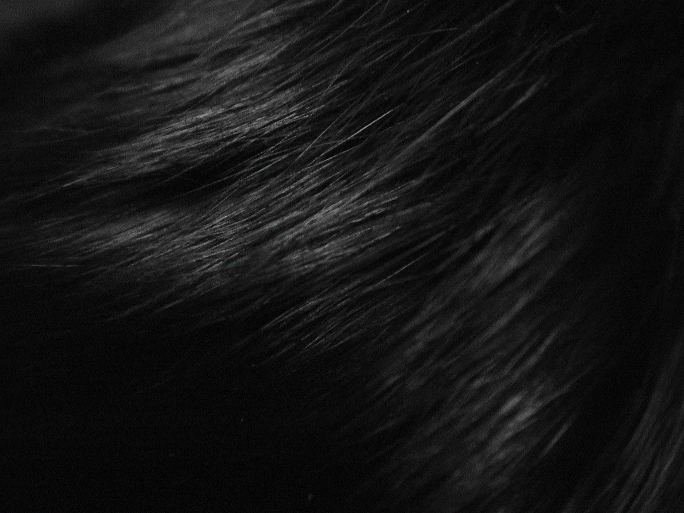 texture, background, black hair texture, background