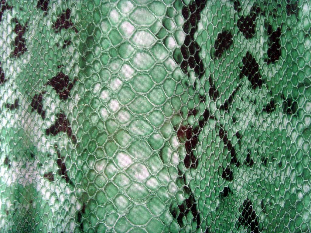 snake Thistle leather, texture, background, snake leather background, leather background