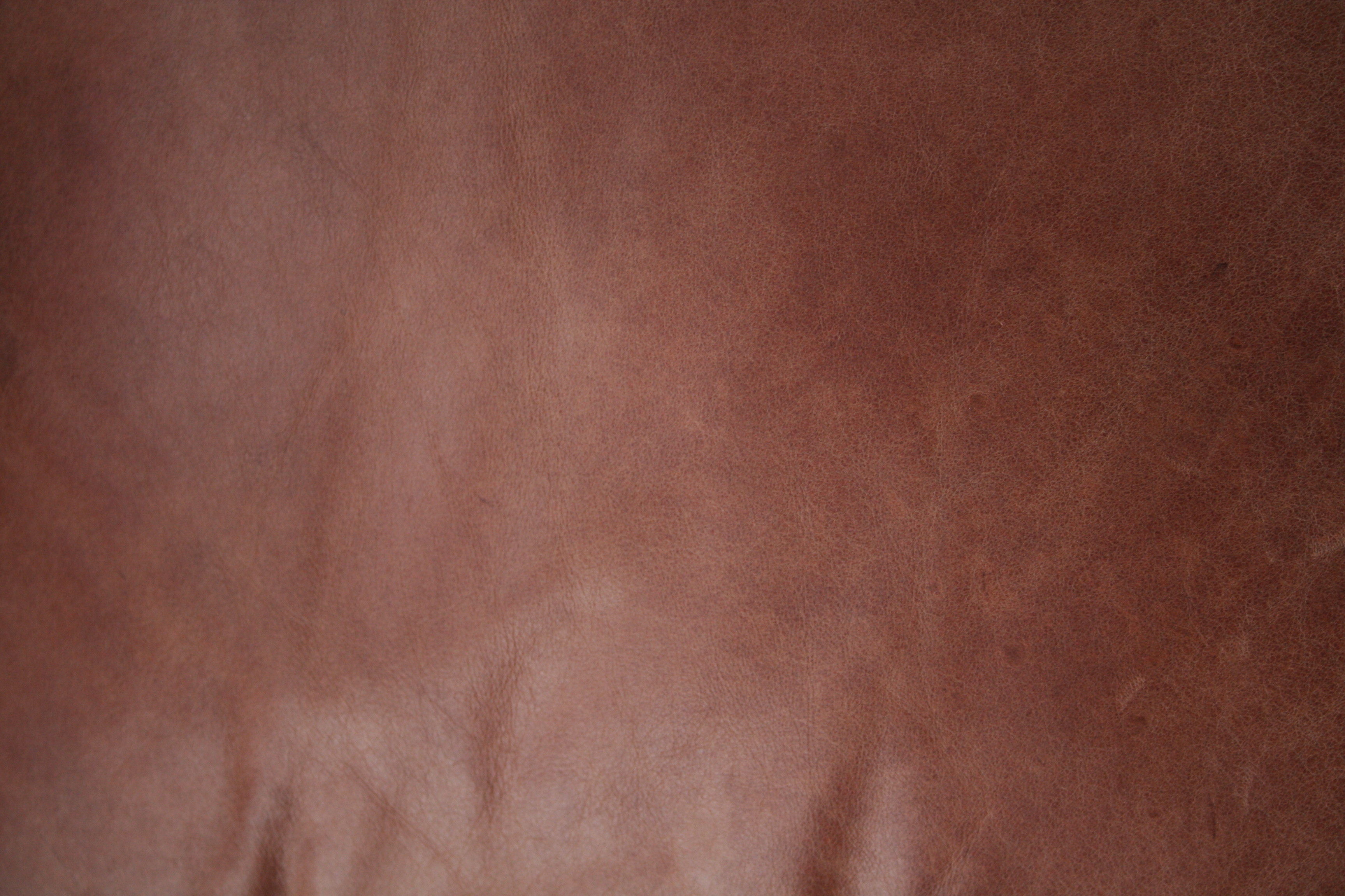 leather texture, background, leather background, leather background